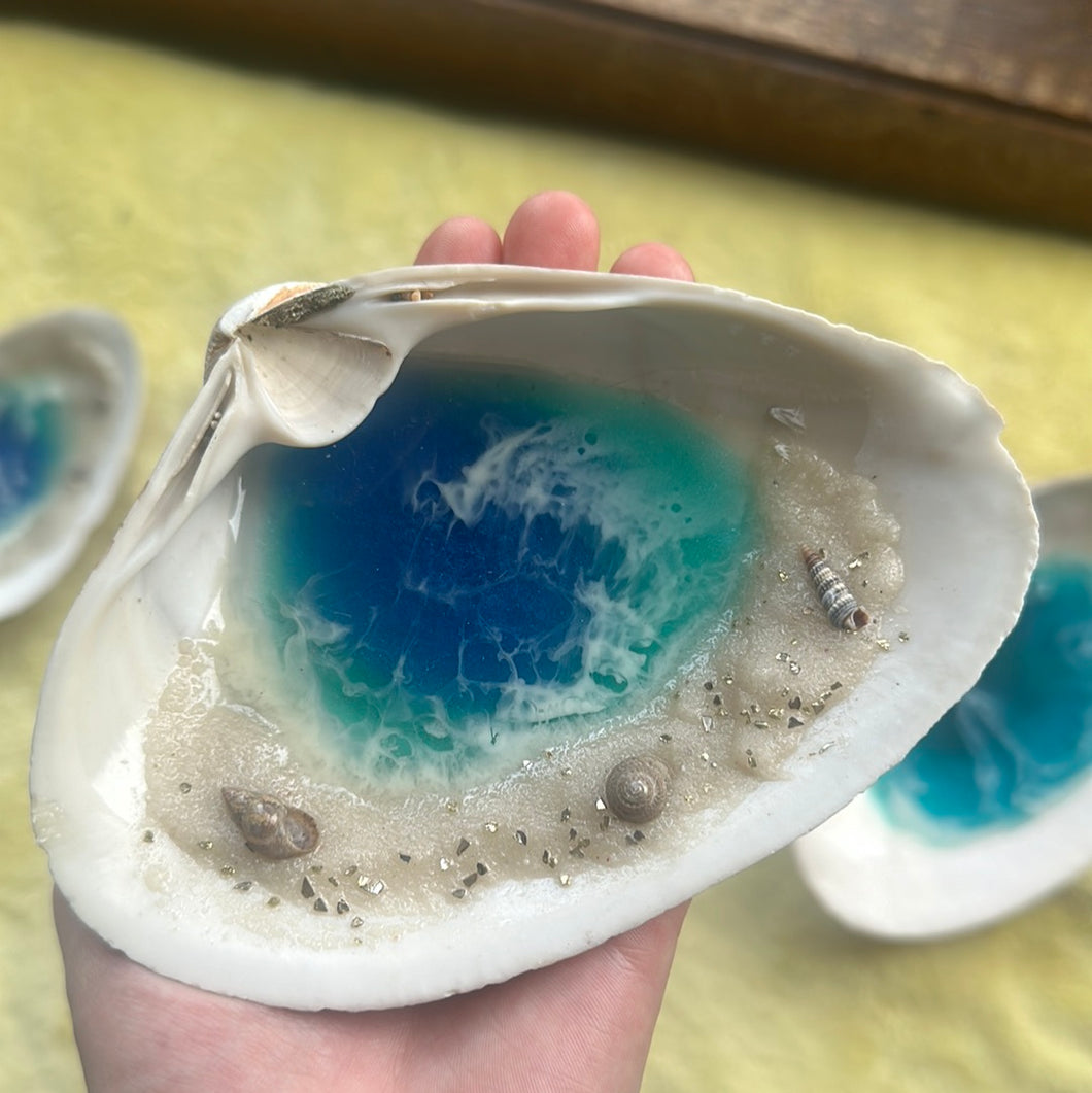 Sea Shell Dishes