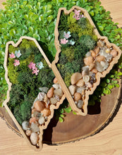 Load image into Gallery viewer, Moss and Stone Maine Wall Hanging
