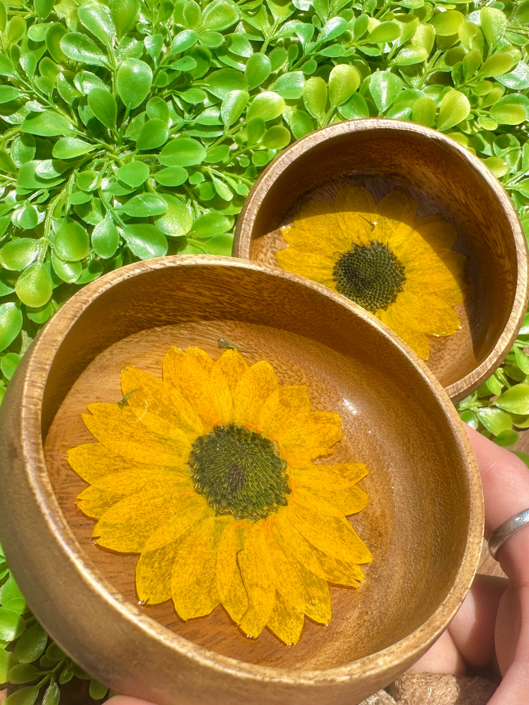 Sunflower Bowls